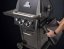 Broil King ROYAL™ 390 Shadow